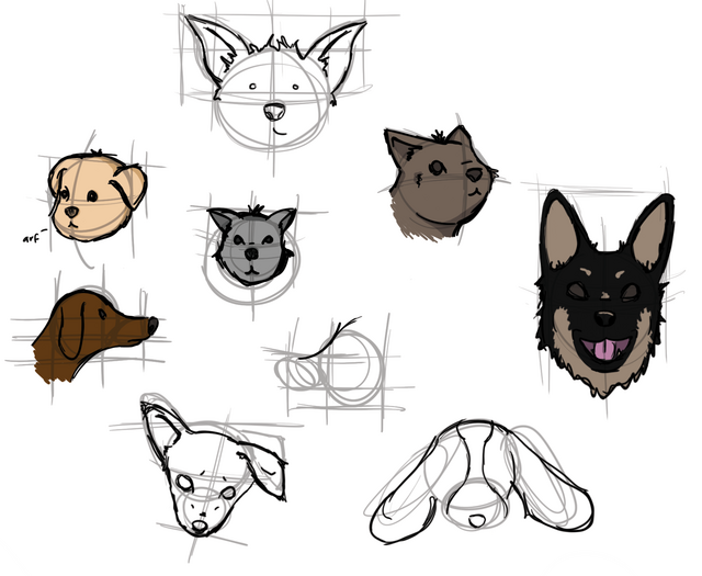 Dog Study Dog Study
