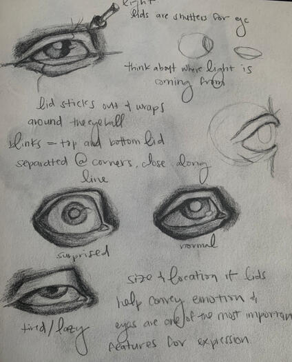 eye study pencil
