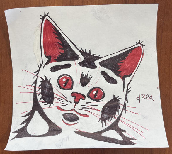 Cat (ink on paper)