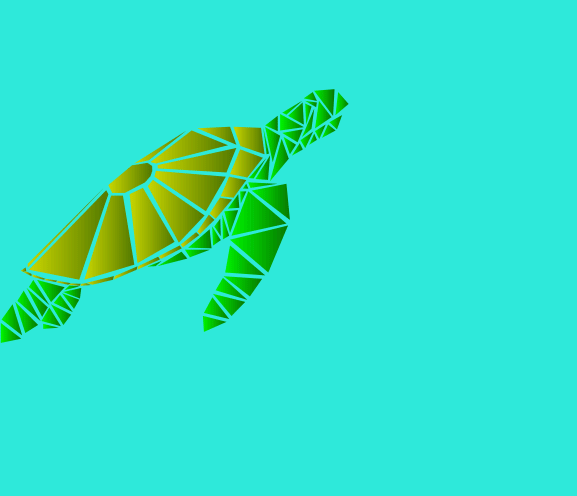 Turtle Turtle