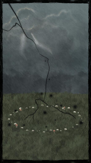fairy circle fairy circle